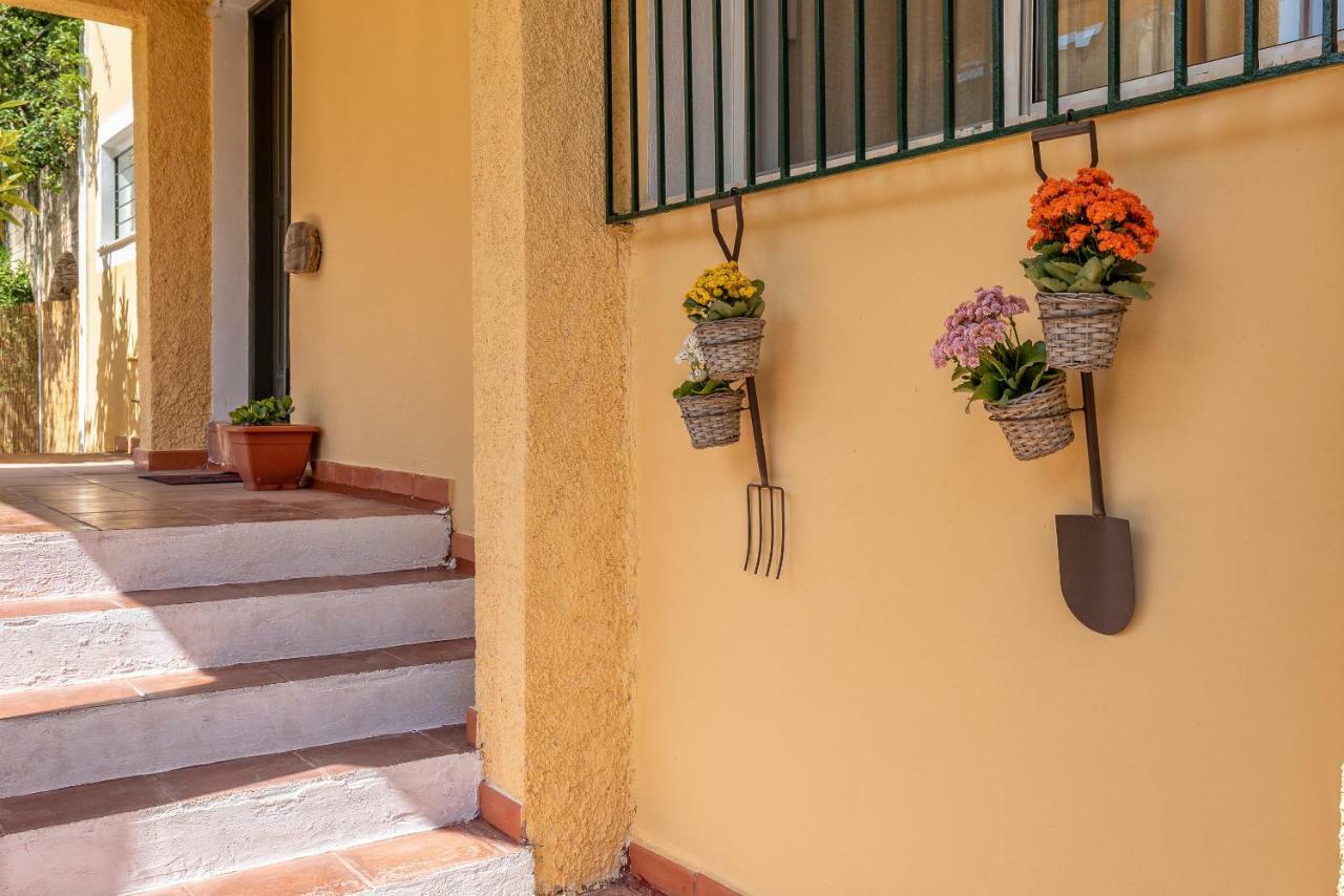Verde e Mare Villa & Apartment Tsilivi  Exterior foto